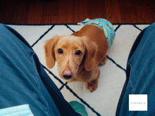 画像をギャラリービューアに読み込む, SONY Super Steady Shot DSC-W80【完動品】【実写済み❗️】▪️オールドコンデジ▪️デジタルカメラ