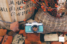 ç»åãã®ã£ã©ãªãŒãã¥ãŒã¢ã«èªã¿èŸŒã, PENTAX SP turcheseð¬ãå®ååããå®åæžã¿ã