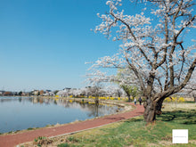 画像をギャラリービューアに読み込む, FUJIFILM X20【完動品】【実写済み❗️】状態◎ 付属品付き❗️