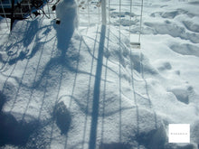 画像をギャラリービューアに読み込む, Nikon COOLPIX S1【完動品】【実写済み❗️】▪️オールドコンデジ▪️デジタルカメラ