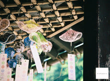 画像をギャラリービューアに読み込む, FUJICA COMPACT D【完動品】