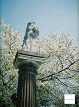 画像をギャラリービューアに読み込む, My Heart 5219 Film ASA(ISO)500 35mmカラーフィルム 36枚撮り ECN-2現像【海外フィルム✈️】