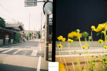 画像をギャラリービューアに読み込む, OLYMPUS Zuiko Auto Zoom 50-90mmF3.5【完動品】OLYMPUS PEN-F、FT、FV用に❗️