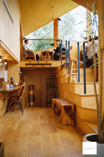 画像をギャラリービューアに読み込む, Canon Autoboy Mini T【完動品】【実写済み❗️】