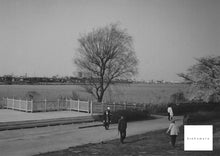 Load image into Gallery viewer, IMAGO320 35(135)mm monochrome film 36 shots