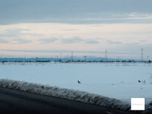 画像をギャラリービューアに読み込む, Canon IXY505【完動品】【実写済み❗️】状態◎▪️オールドコンデジ▪️デジタルカメラ