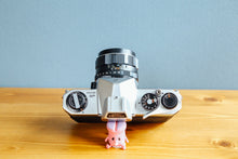 画像をギャラリービューアに読み込む, PENTAX SP