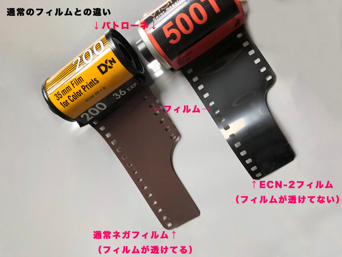 500T ASA(ISO)500 35mmカラーフィルム 36枚撮り ECN-2現像【海外フィルム✈️】