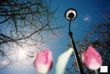 画像をギャラリービューアに読み込む, OLYMPUS OZ120ZOOM(BK)【完動品】