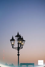 画像をギャラリービューアに読み込む, NARA5219 ASA(ISO)500 (35mmカラーフィルム) 36枚撮り ECN-2現像【海外フィルム✈️】