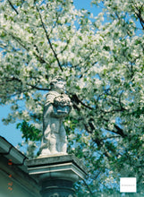 画像をギャラリービューアに読み込む, NARA5219 ASA(ISO)500 (35mmカラーフィルム) 36枚撮り ECN-2現像【海外フィルム✈️】