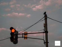 画像をギャラリービューアに読み込む, Canon IXY DIGTAL10【完動品】▪️オールドコンデジ▪️デジタルカメラ