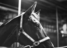 Load image into Gallery viewer, Space 2D 400 (35mm film) monochrome 24 shots