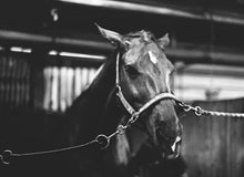 Load image into Gallery viewer, Space 2D 400 (35mm film) monochrome 24 shots