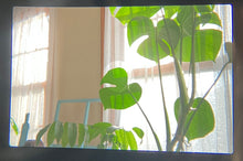 画像をギャラリービューアに読み込む, Contax Aria & 45mmF2.8MMJ 豪華セット❗️【完動品】【実写済み❗️】状態◎