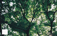 画像をギャラリービューアに読み込む, FUJI CARDIA HITE DATE【完動品】