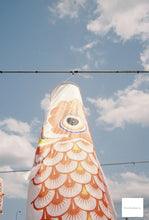 ç»åãã®ã£ã©ãªãŒãã¥ãŒã¢ã«èªã¿èŸŒã, OLYMPUS 35DC MentaxTurcheseð¿ð¬ãå®ååããå®åæžã¿âïžã