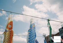 画像をギャラリービューアに読み込む, OLYMPUS 35DC 宇宙の星空🌐🚀【動作品】