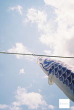 画像をギャラリービューアに読み込む, OLYMPUS 35DC 宇宙の星空🌐🚀【動作品】