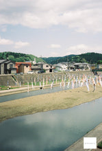 画像をギャラリービューアに読み込む, NARA5207 ASA(ISO)250 (35mmカラーフィルム) 36枚撮り ECN-2現像【海外フィルム✈️】