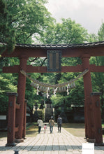 画像をギャラリービューアに読み込む, NARA5207 ASA(ISO)250 (35mmカラーフィルム) 36枚撮り ECN-2現像【海外フィルム✈️】