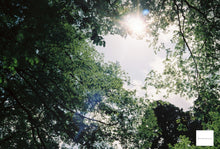 画像をギャラリービューアに読み込む, OLYMPUS OZ70 PANORAMA ZOOM【完動品】