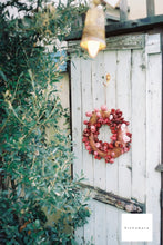 画像をギャラリービューアに読み込む, 【完動品】【実写済み】Konica L