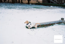 画像をギャラリービューアに読み込む, 【完動品】【実写済み】Konica L