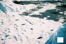 画像をギャラリービューアに読み込む, 【完動品】Argus C3 Flagola🍓