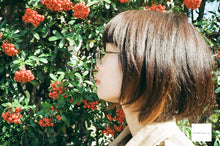 画像をギャラリービューアに読み込む, Konica Big miniA4 【完動品】