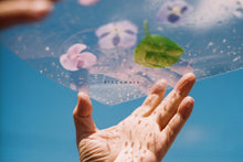 画像をギャラリービューアに読み込む, 【完動品】PENTAX SP(BK)