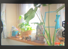 画像をギャラリービューアに読み込む, FUJICA ST801(BK)【希少❗️】【完動品】