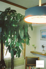 画像をギャラリービューアに読み込む, AMBER D100(35mmフィルム) カラーネガフィルム 27枚撮り【海外フィルム✈️】