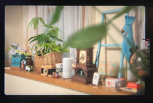 画像をギャラリービューアに読み込む, Canon AE-1【完動品】【実写済み❗️】旧FD1番良いレンズ❗️