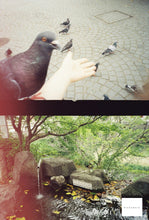 画像をギャラリービューアに読み込む, KONO! Original Mirage100-400(35mmフィルム) カラーネガフィルム 36枚撮り【海外フィルム✈️】1本売り