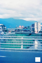 画像をギャラリービューアに読み込む, Thirtysi36 - 400D Colour(35mmフィルム) カラーネガフィルム 36枚撮り【海外フィルム✈️】