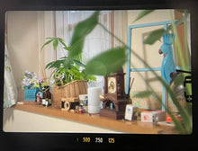 画像をギャラリービューアに読み込む, Nikomat FTN【完動品】