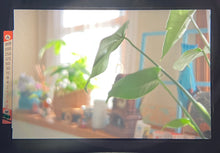 画像をギャラリービューアに読み込む, Nikon FE【完動品】