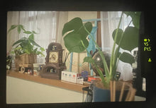 画像をギャラリービューアに読み込む, PENTAX MZ-7【完動品】【実写済み❗️】