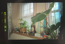 画像をギャラリービューアに読み込む, Minolta α Sweet【完動品】【未使用❗️】