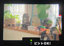 画像をギャラリービューアに読み込む, Canon AL-1【完動品】【希少❗️】