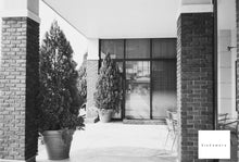 Load image into Gallery viewer, IMAGO320 35(135)mm monochrome film 36 shots