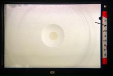 画像をギャラリービューアに読み込む, KONICA AUTOREFLEX T3【完動品】