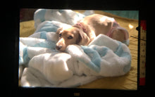 画像をギャラリービューアに読み込む, KONICA AUTOREFLEX T3【完動品】