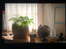 画像をギャラリービューアに読み込む, Nikon FE ブラックボディ【完動品】