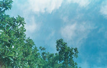 画像をギャラリービューアに読み込む, PREMIER PC600【完動品】