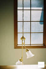 画像をギャラリービューアに読み込む, OLYMPUS IZM200【完動品】