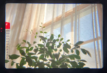 画像をギャラリービューアに読み込む, OLYMPUS OM-10【完動品】