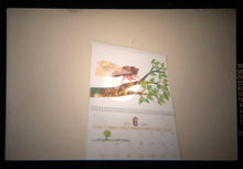 Load image into Gallery viewer, Minolta