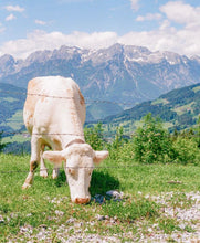 画像をギャラリービューアに読み込む, Canon EOS7【完動品】2本レンズ付き❗️